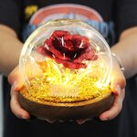 Fleur-ternelle-artificielle-24K-feuille-d-or-d-coration-de-maison-la-belle-et-la-b