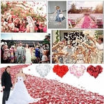 Faux-p-tales-de-roses-en-soie-1000-pi-ces-pour-d-coration-de-mariage-pour