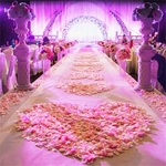 Faux-p-tales-de-roses-en-soie-1000-pi-ces-pour-d-coration-de-mariage-pour