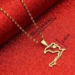 Collier-pendentif-en-acier-inoxydable-pour-femme-et-homme-bijou-de-couleur-or-avec-carte-de