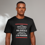 jesuisantillais2
