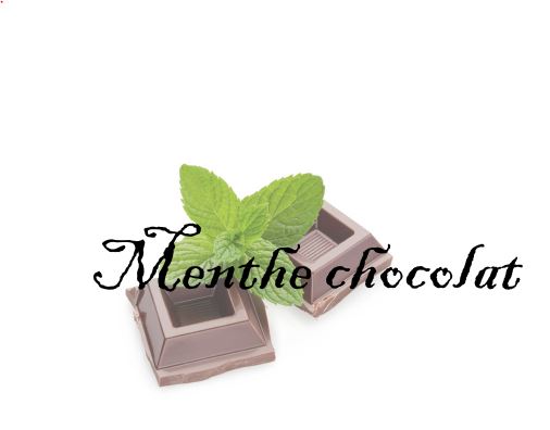 menthe chocolat