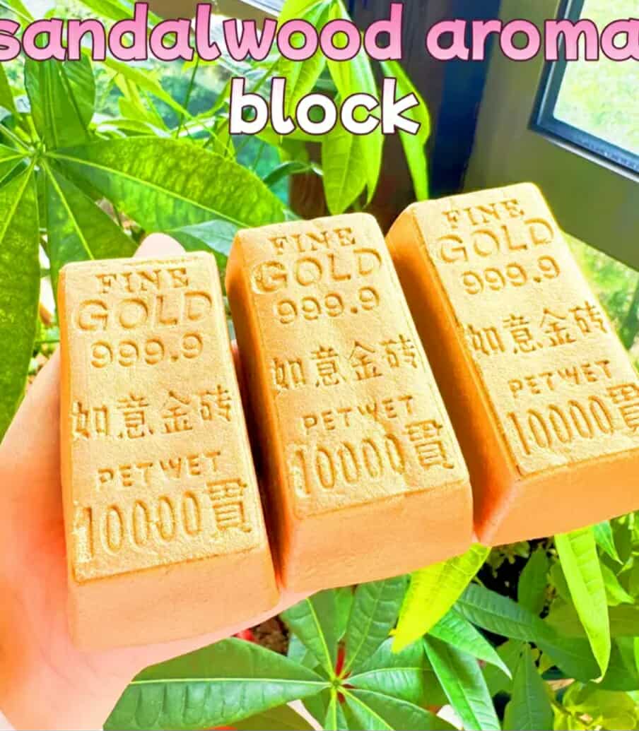 552953810_2533484223700555_2816306777022386937_n