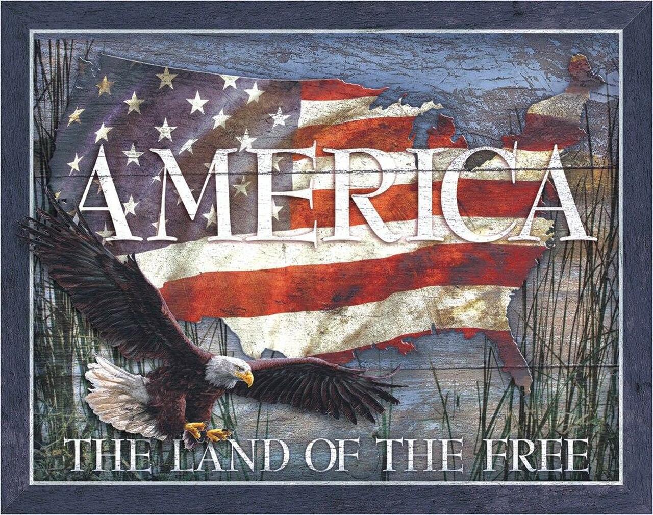 Plaque métallique format 41 x 32 cm Land of Free America