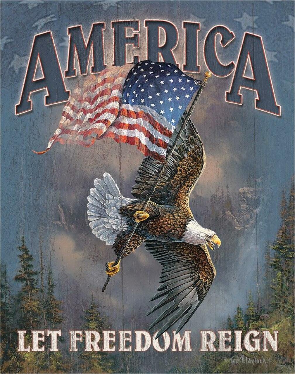 Plaque métallique format 41 x 32 cm America Let Freedom Reign
