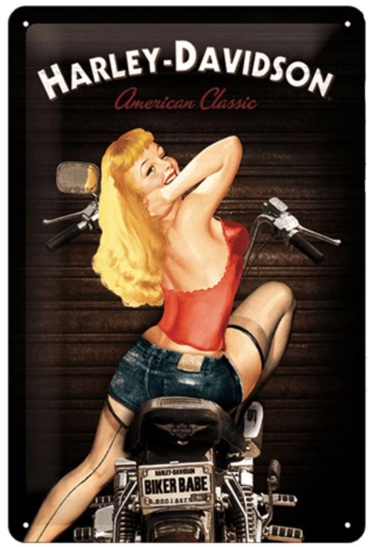 Plaque métallique 30 x 20 cm Vintage* Biker Babe HARLEY DAVIDSON