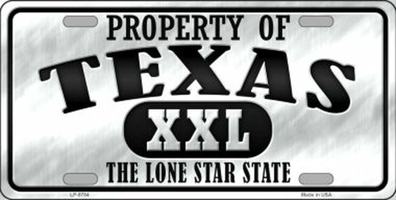Plaque Auto Licence métal 30 x 15 cm TEXAS The Lone Star State