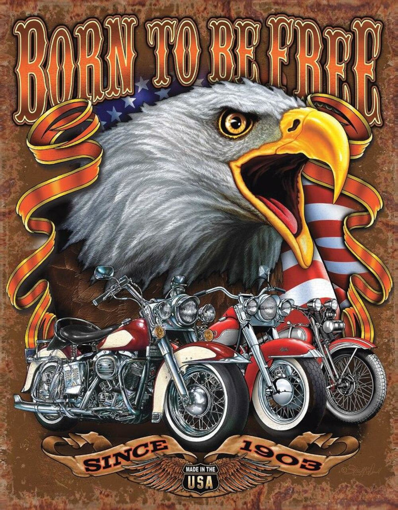 Plaque métallique format 41 x 32 cm Born Free made in usa since 1903 MOTORCYCLE