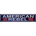 ST-484_American-Rebel-plaque-metallique-americaine-de-decoration