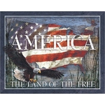 DESP-2159-america-land-of-free