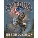 DESP-1668-america-let-freedom-reign