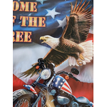 plaque metal americaine harley biker usa home of the free (2)