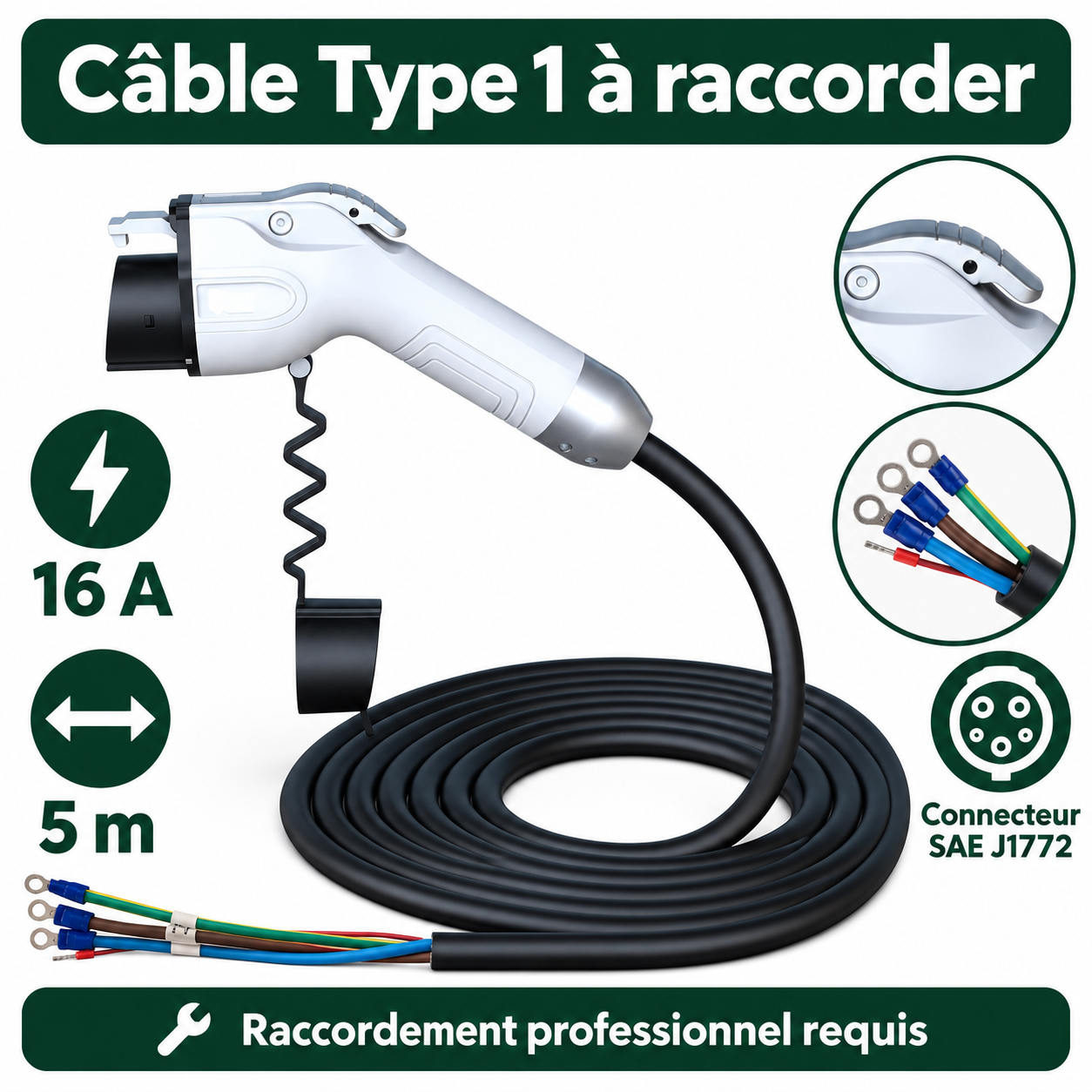 Détails du câble Type 1 de 5 m et raccordement professionnel