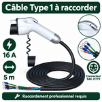 Détails du câble Type 1 de 5 m et raccordement professionnel