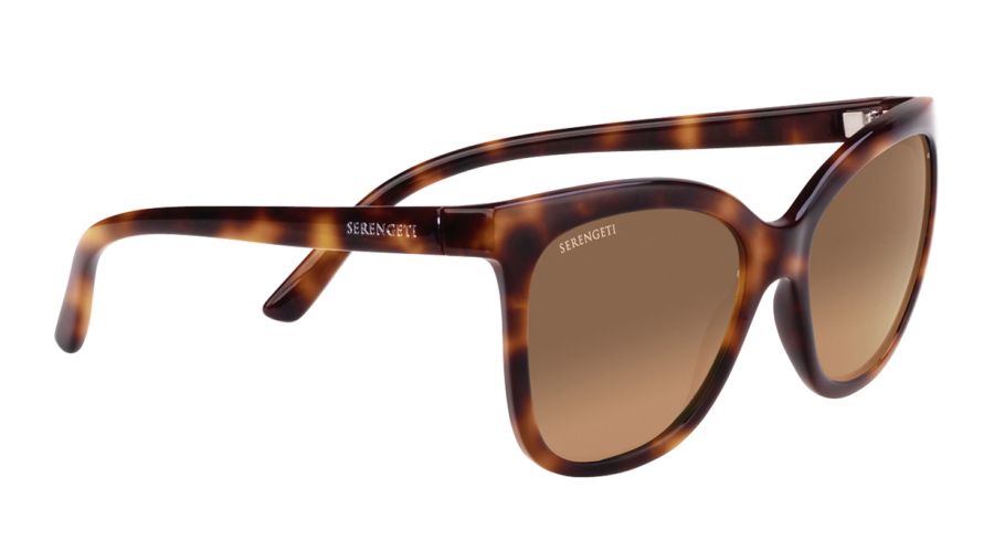 AGATA-SS001002