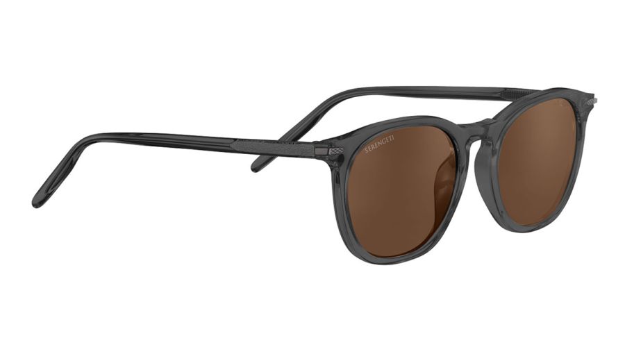 ARLIE-SS483009