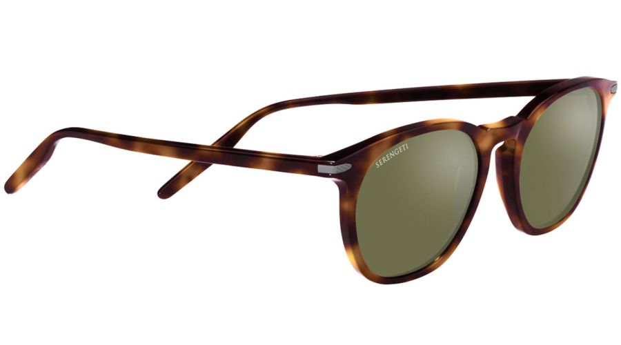 ARLIE-SS483008