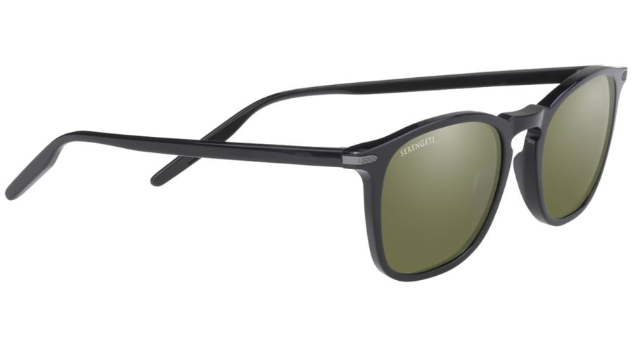 DELIO-SS021008