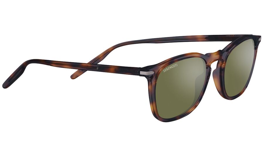 DELIO-SS021009_1
