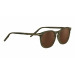 ARLIE-SS483006