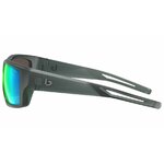 PHARON-BS164003-DETAILS