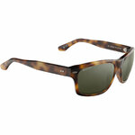 Lunettes Serengeti 101 SS762003