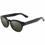 Lunettes Serengeti CAMBRIA LARGE SS761001