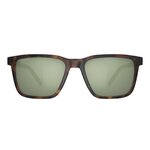 Lunettes Serengeti Montecito SS880003 de face
