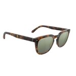 Lunettes Serengeti Paseo Large SS883002