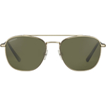 Carroll_Shiny Light Gold-Mineral Polarized 555nm Cat 3 to 3-02