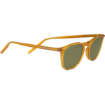 Delio_Honey Shiny-Mineral Polarized 555nm Cat 3 to 3-01