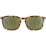 Lenwood_Shiny Classic Havana-Mineral Polarized 555nm Cat 3 to 3-02