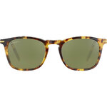 Delio_Shiny Classic Havana-Mineral Polarized 555nm Cat 3 to 3-02