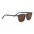 ARLIE-SS483009