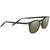 DELIO-SS021008