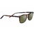 DELIO-SS021009_1