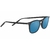 DELIO-SS021011