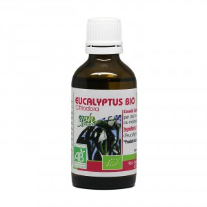 huile-essentielle-de-eucalyptus-citriodora-bio-50ml