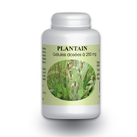 plantain-200-gelules