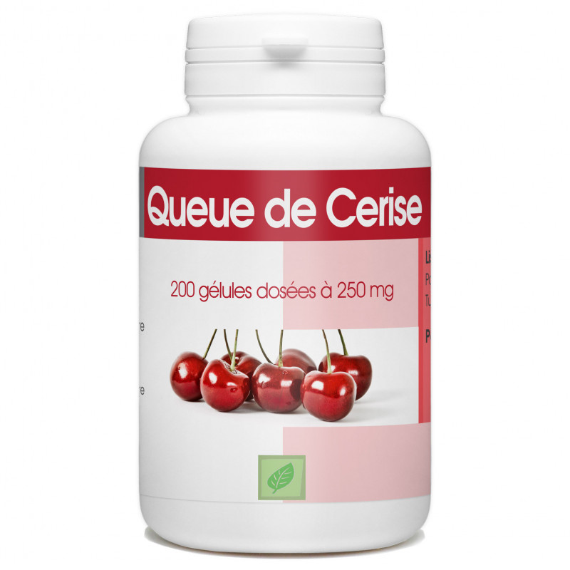 Queue de Cerise 250 mg - 200 gélules - Complément alimentaire/Minceur et  Hyperprotéines - Le coin des écolos