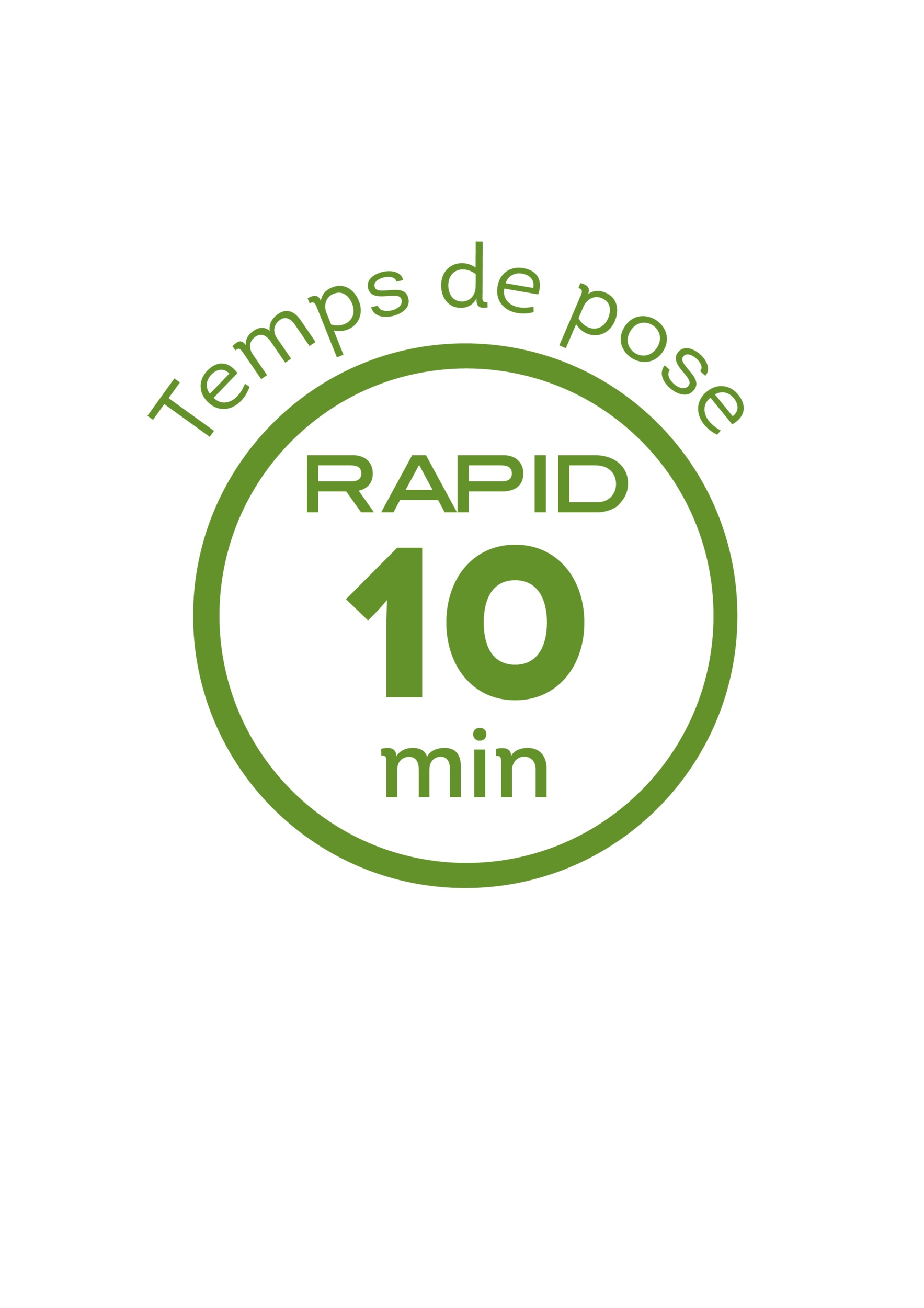 logo RAPID
