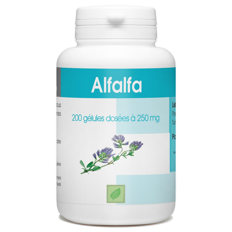 alfalfa-200-gelules-a-230-mg