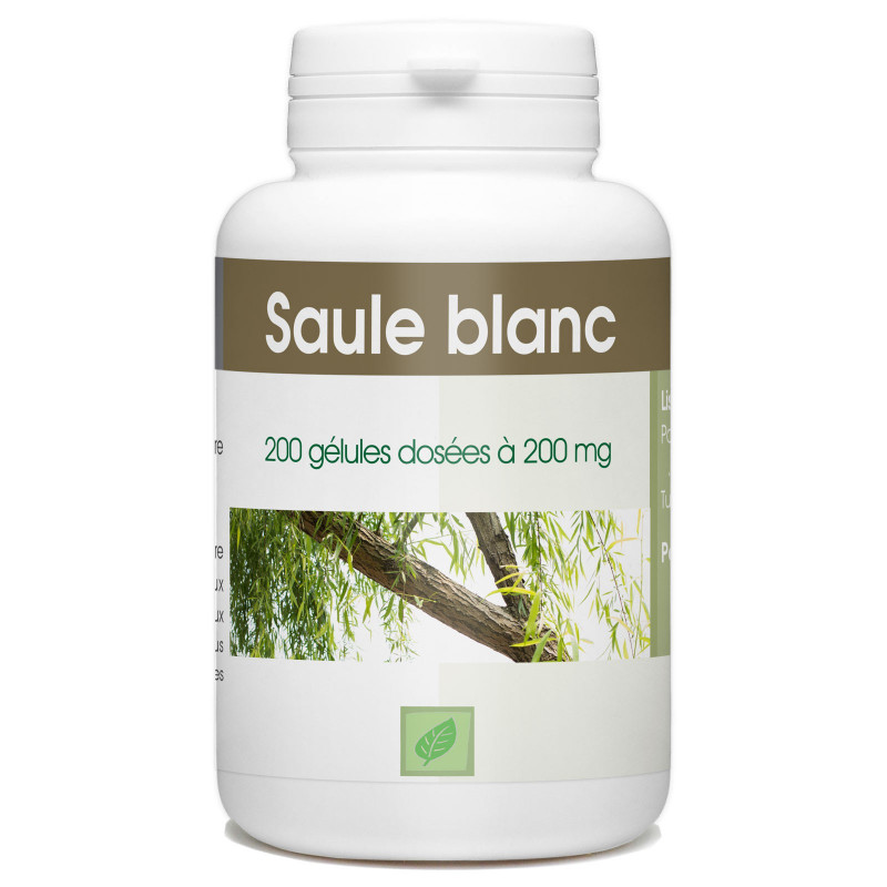 saule-blanc-200-gelules