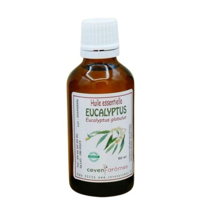 eucalyptus-50ml-huile-essentielle_mini