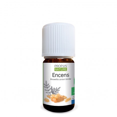 encens-bio-huile-essentielle-5-ml