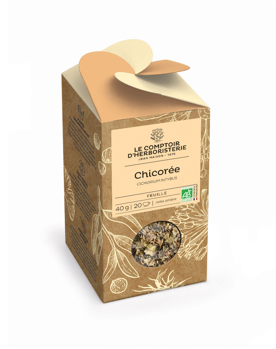SIMPLE-chicoree-feuil