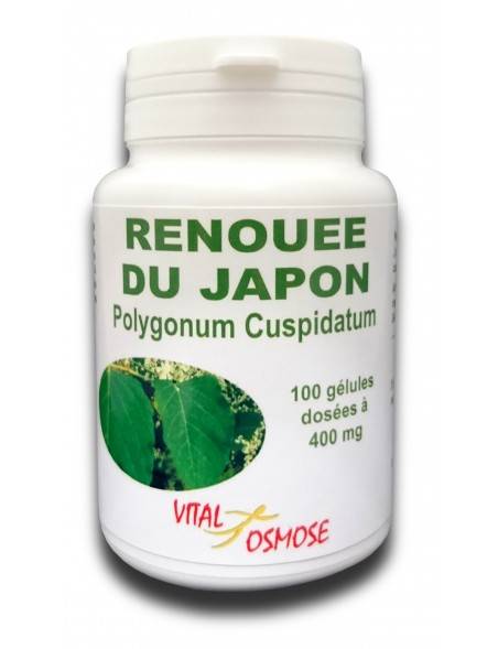 renouee-du-japon-100-gelules
