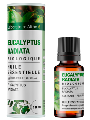 he-eucalyptus-radiata-bio-10ml-fr