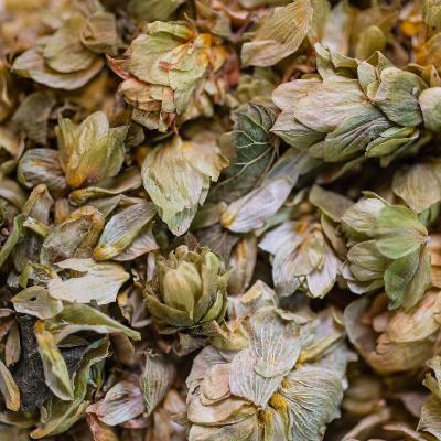 2020-Houblon-002