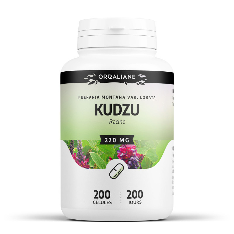 kudzu-220-mg-gélules